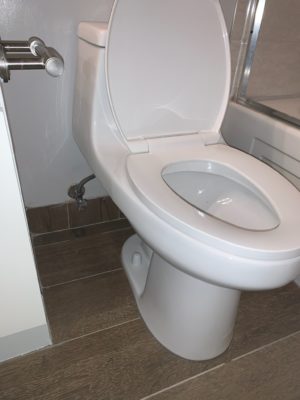 rescue-plumbing-andersonville-chicago-toilet-leak-repair-3