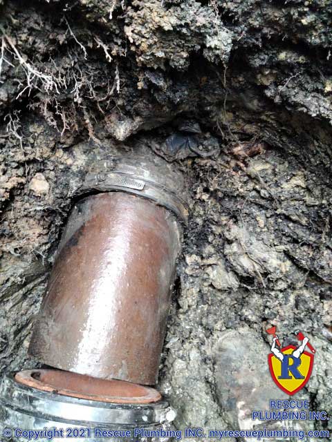 rescue-plumbing-lincoln-square-chicago-tree-roots-sewer-line-damage-professional-sewer-line-repair