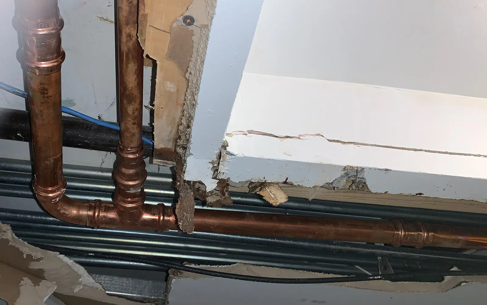 Leak Between Units with Ceiling Pipes Exposed Rescue Plumbing