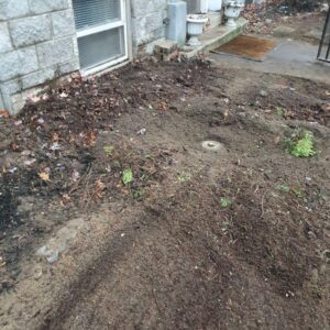 Repaired Sewer Line