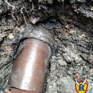 rescue-plumbing-lincoln-square-chicago-tree-roots-sewer-line-damage-professional-sewer-line-repair
