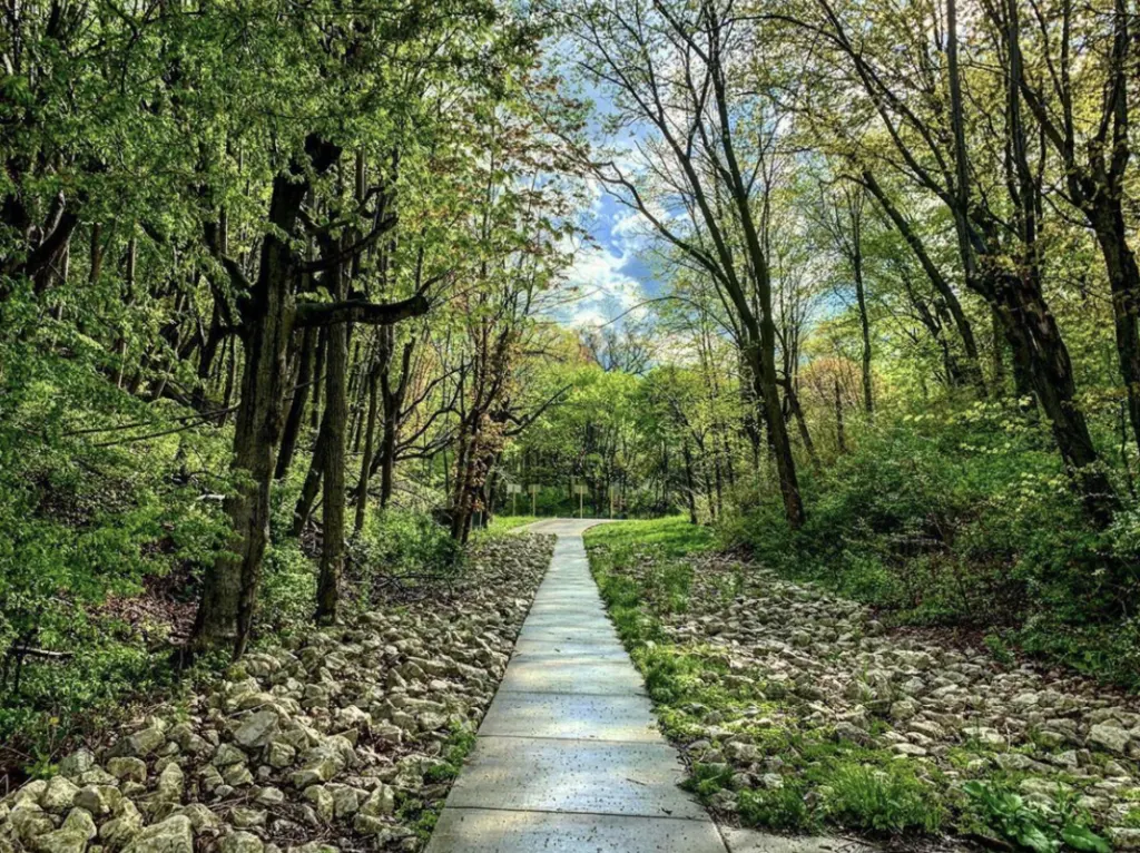 Winnetka Forest Preserve