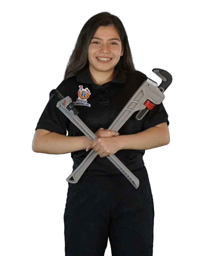 Luz Your Emergency Plumber Near Me Chicago