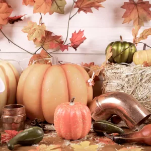Thanksgiving plumbing pipes for garbage disposal repair