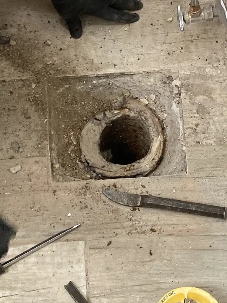 Lincoln Park resident needs toilet flange repair