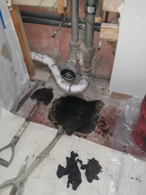 Property owner needs Rescue Plumbing to repair floor drains