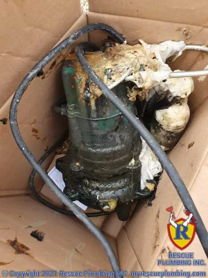 sump pump covered in debris