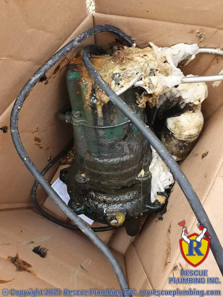 sump pump covered in debris