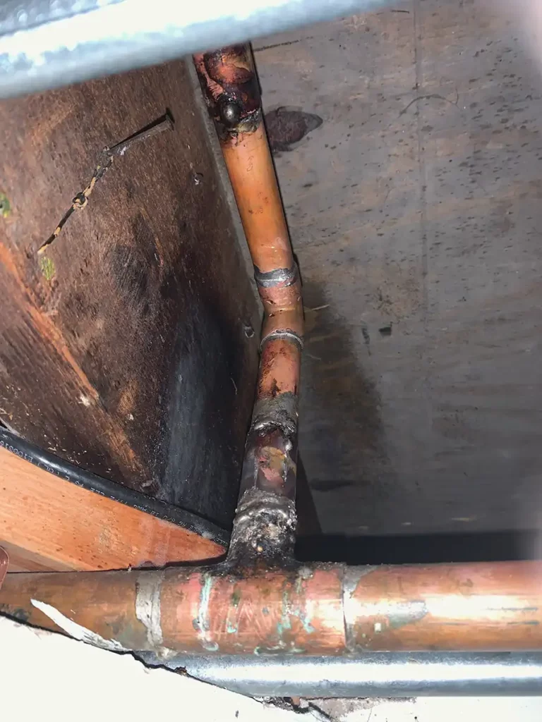 prevent leaky pipes