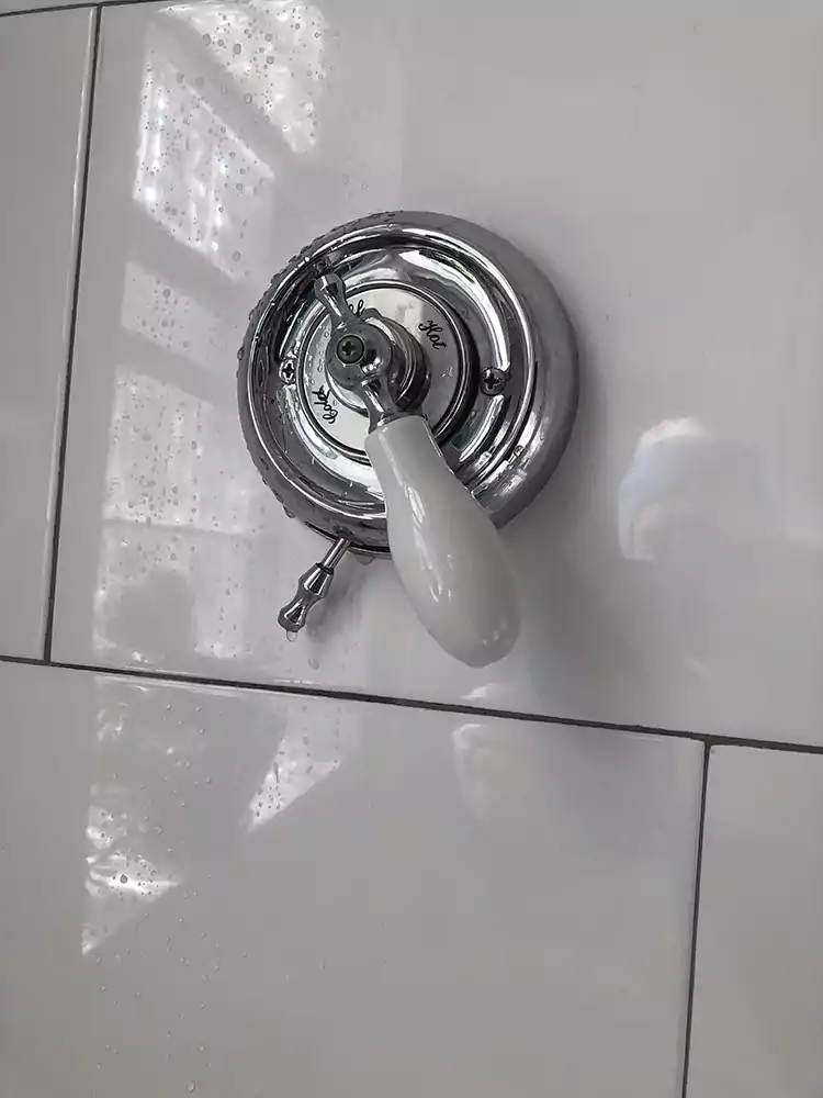 Shower Repair done by plumber