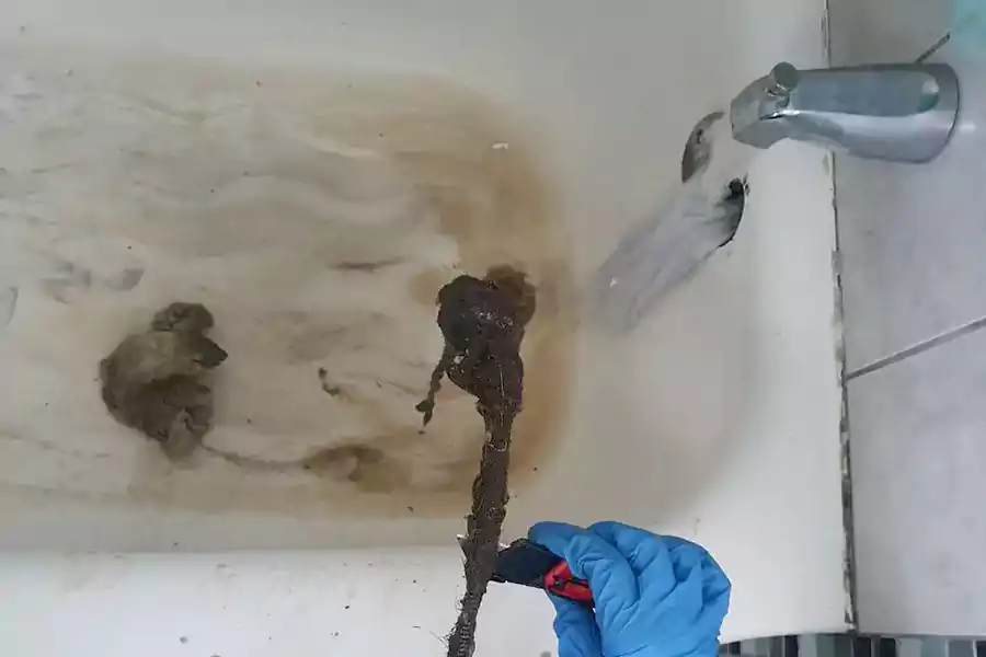 Bathtub stopped draining, but I don't think it's a clog : r/Plumbing