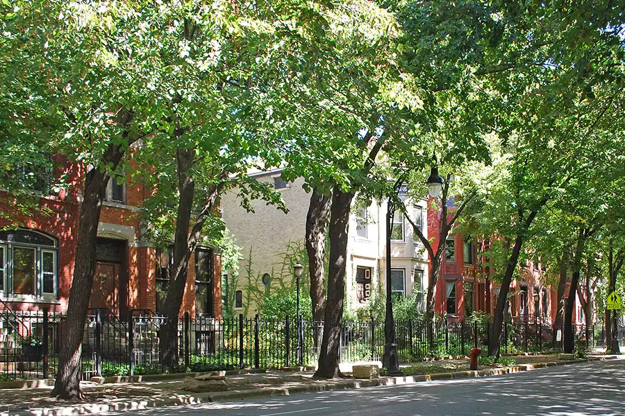 Rescue plumbing is a chicago plumbing company that serves the west jackson district area