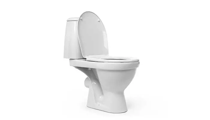 Toilet Repair