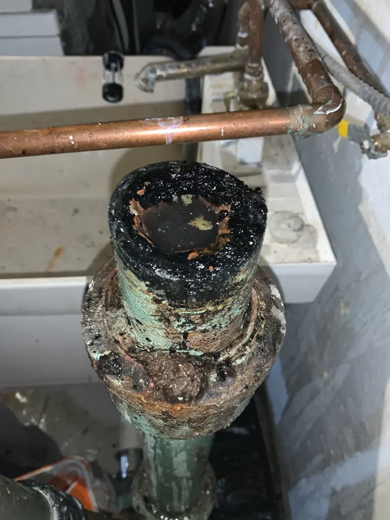 clogged sewer lines 
