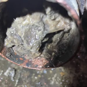 single drain clogged with debris