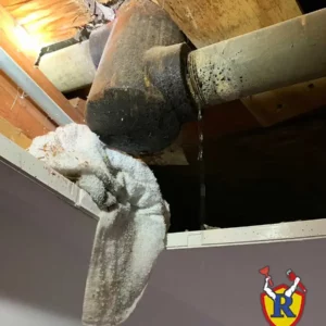 Leak repair arcadia terrace chicago