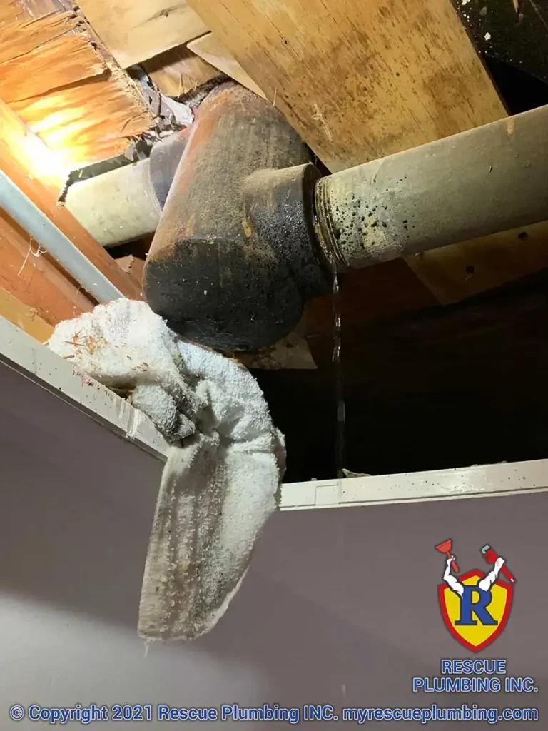 Leak repair arcadia terrace chicago