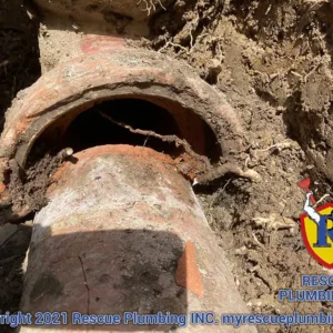 Sewer line broken and clogged by tree roots