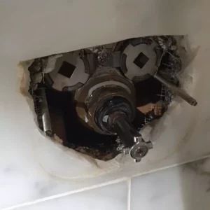 Shower repair at affordable prices
