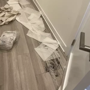 City of chicago plumbing repairs