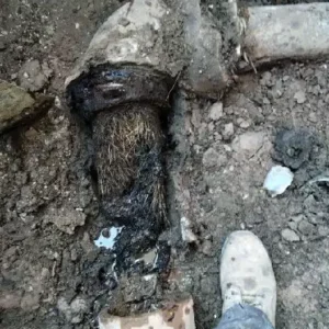 Rescue plumbing replace broken sewer pipe in park ridge il