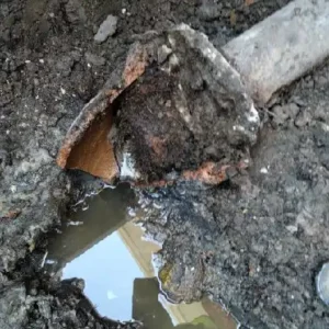 Plumbing services provided to fix sewer in park ridge house