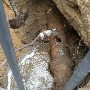 Chicago pilsen plumbing company
