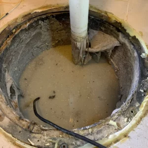 Chicago plumber repairs ejector pump