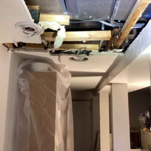 leak in ceiling niles illinois