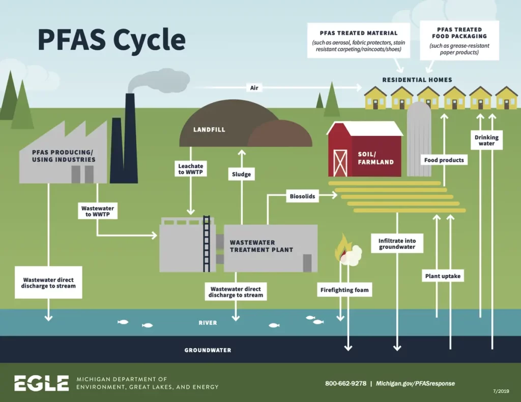 Infographic of the cycle of PFAS pollution in industry and foods