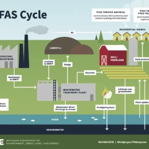 Infographic of the cycle of PFAS pollution in industry and foods