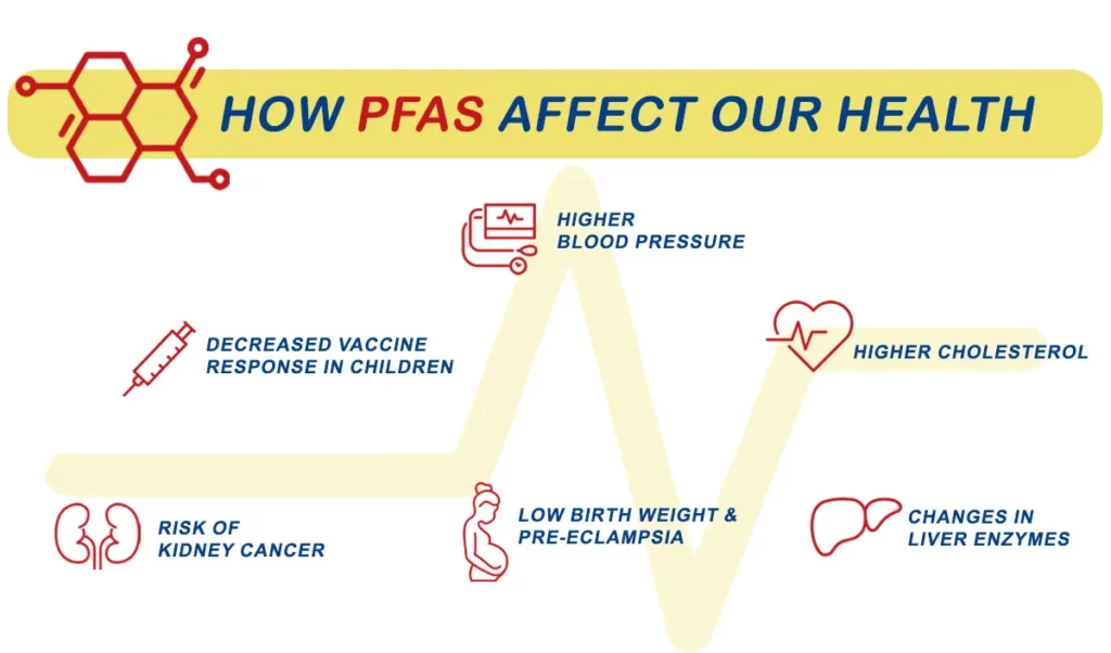 harmful health effects of forever chemicals from the Centers of Disease Control