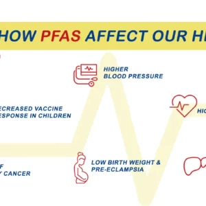 harmful health effects of forever chemicals from the Centers of Disease Control