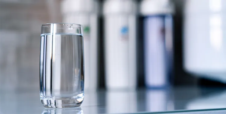 glass of filter water from the sink