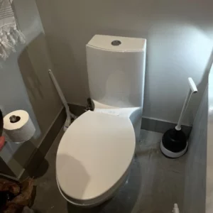 toilet clog arlington heights illinois