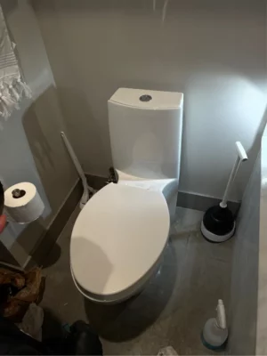 toilet clog arlington heights illinois
