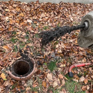 Sewer clean out lakewood balmoral chicago