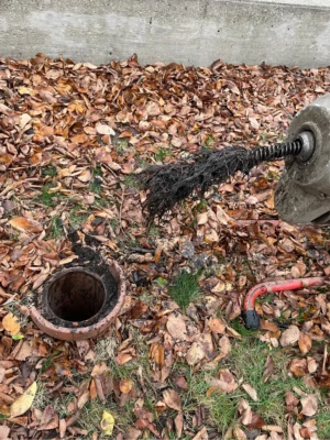 sewer clean out lakewood balmoral chicago