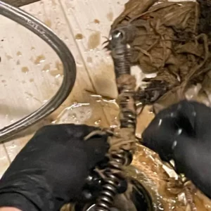 Enrollment eligibility for plumber with rescue plumbing