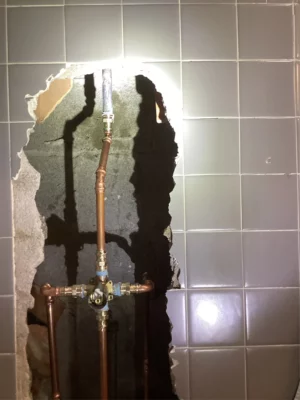 Plumbing business in chicago services pumps