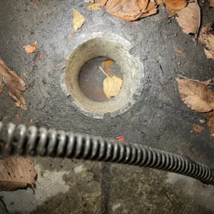 Rescue plumbing located in chicago repair customers sewer