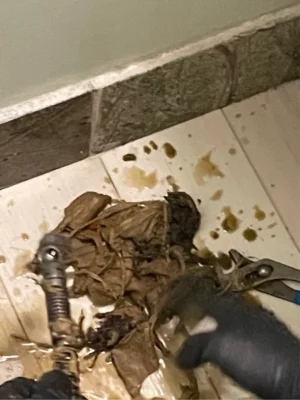 Rescue Plumbing professionals services lakewood balmoral chicago house