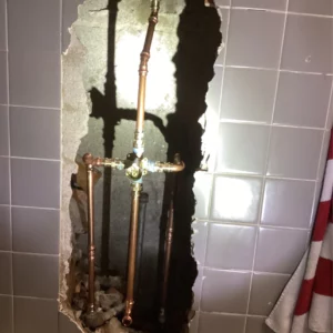 Plumbing business in chicago offer same day services