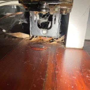 Leak detection professionals in crystal lake il