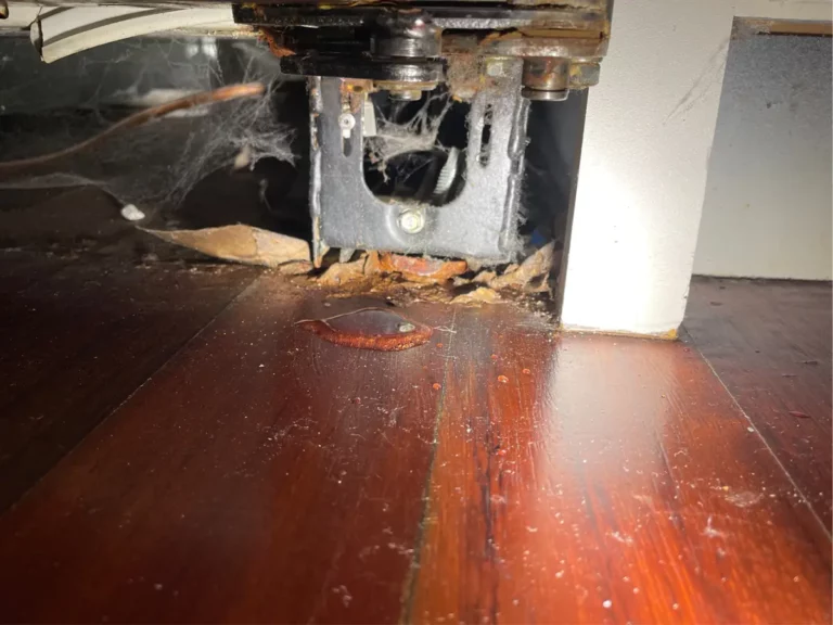 Leak detection professionals in crystal lake il