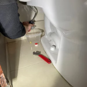 Professional toilet repair in elmhurst il