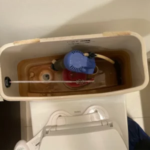 Toilet repair professionals in elmhurst il
