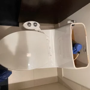 Toilet plumbing services near chicago area