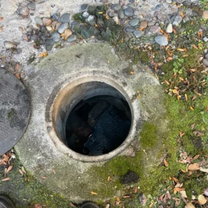 Green oaks illinois plumbing experts on drain cleaning