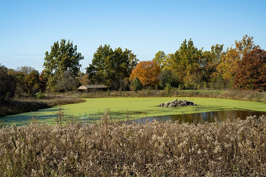 lake forest plumber